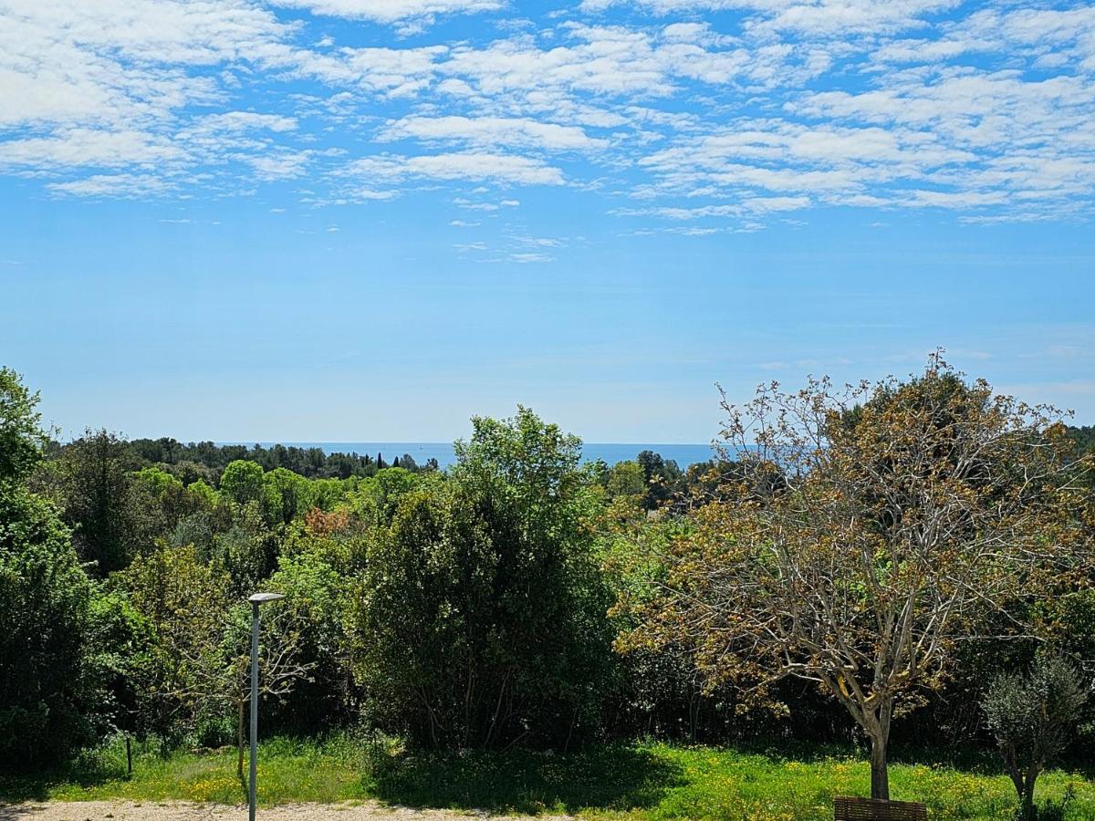 Apartments & Rooms Gaspar Rovinj Zewnętrze zdjęcie